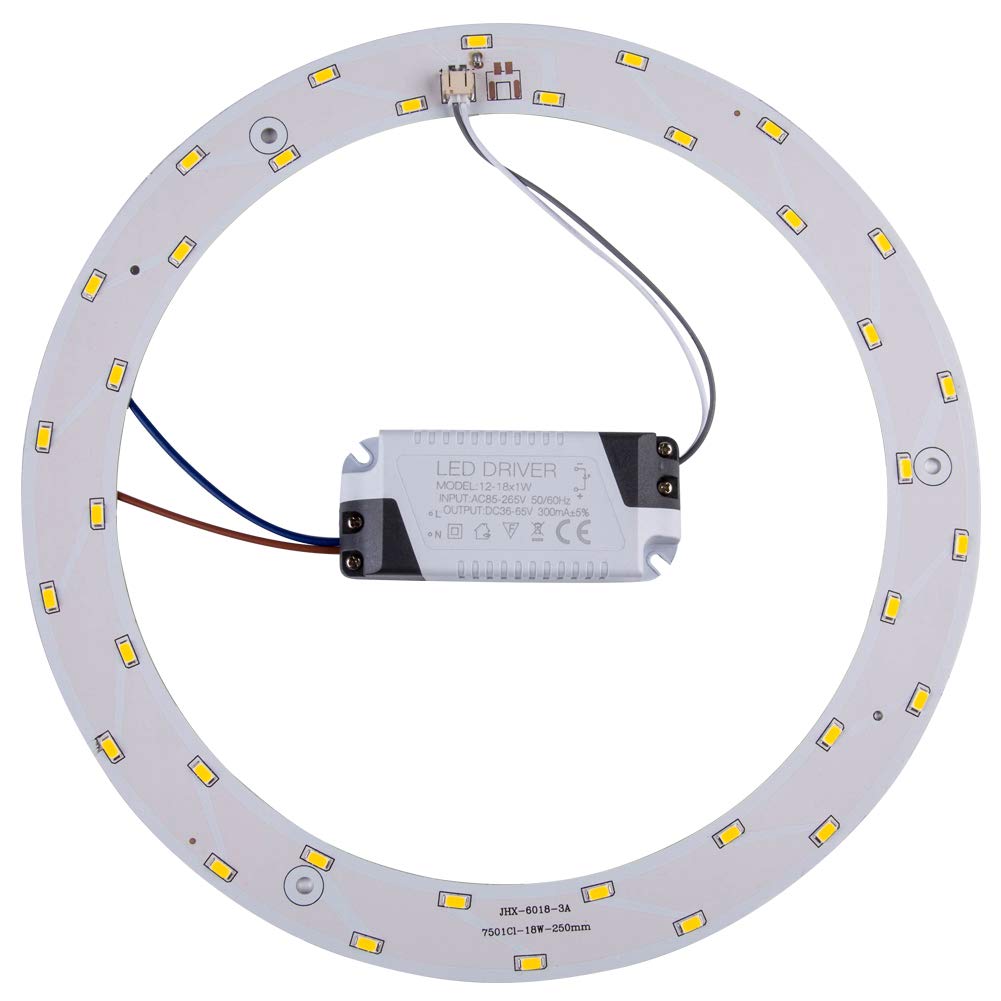 Ledytech 1-Pack 9.85'' 18w 2200LM LED Ceiling Light Retrofit kit, Ceiling Flush Light Replacement Board, 120V, White 6000K (White)