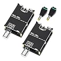 YOURRYONG US 2pcs 100W Audio Amplifier Module