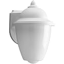 Progress Lighting Polycarbonate Outdoor 1-Light Acrylic Shade Traditional Outdoor Wall Lantern Light White