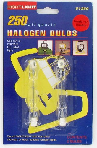 250 Watt Quartz Halogen Bulbs 2-pack