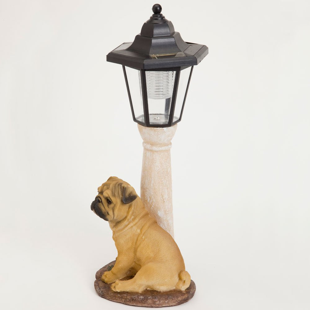Bits and Pieces - Solar Dog Lantern-Solar Powered Garden Lantern - Resin Dog Sculpture with LED Light (Fawn Pug) - 13.5" Tall