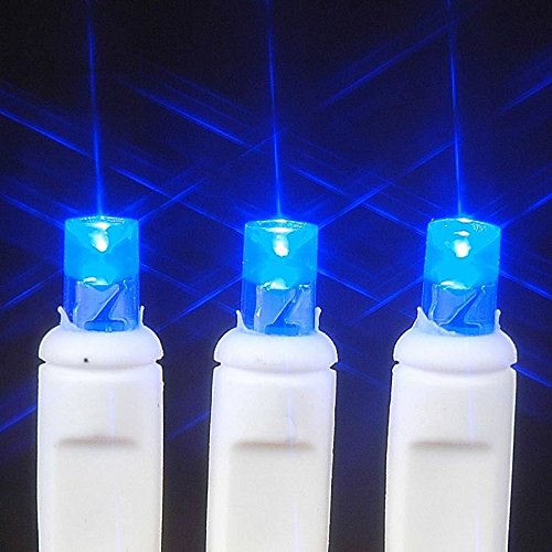 Novelty Lights Battery Operated LED Mini Lights 8 Feet, 20 Count Blue Fairy Lights on White Wire, On/Off & Flashing Modes, Indoor/Outdoor Use, 3X AA