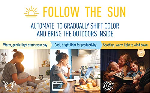 Cree Lighting Connected Max Smart Led Bulb A19 60W Tunable White + Color Changing, 2.4 Ghz, Works with Alexa and Google Home, No Hub Required