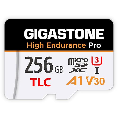 ?5 Yrs Free Data Recovery??Dash Cam? GIGASTONE 256GB Micro SD Card, TLC High Endurance Pro, Speed Up to 100MB/s, Compatible with REDTIGER Rove VIOFO
