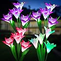 KOOPER Outdoor Solar Lights, 4 Pack Solar Garden Light with Bigger Lily Flowers, Waterproof 7 Color Changing Solar Lights Outdoor - Bigger Panel
