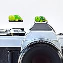 Camera Hot Shoe Cover, Cute Hot Shoe Cap, Hot Shoe Protector Compatible with Sony Fujifilm Fuji Canon Nikon Pentax Leical Panasonic (2pcs Tortoise)
