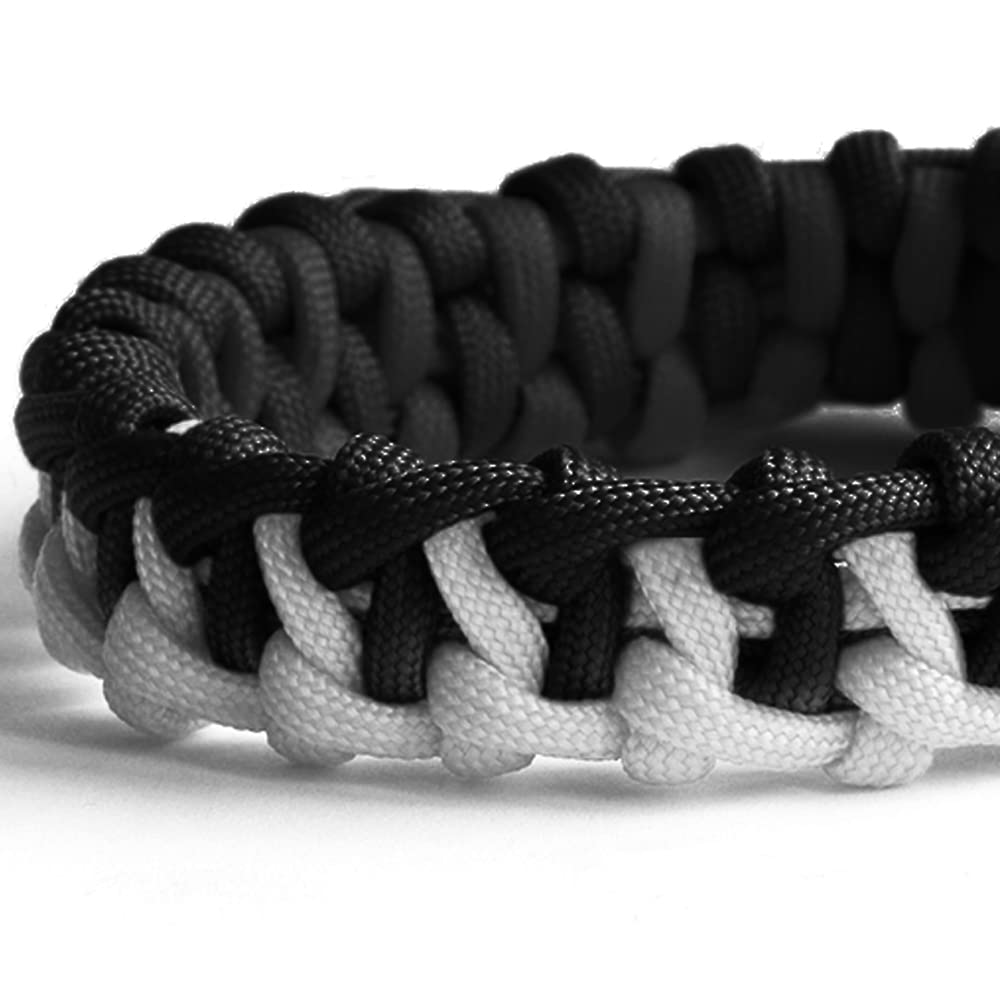 FISHLUND Paracord 550 lb, 7 Strand Paracord Rope 1000ft 4mm, Nylon Parachute Cord for Camping, Purple