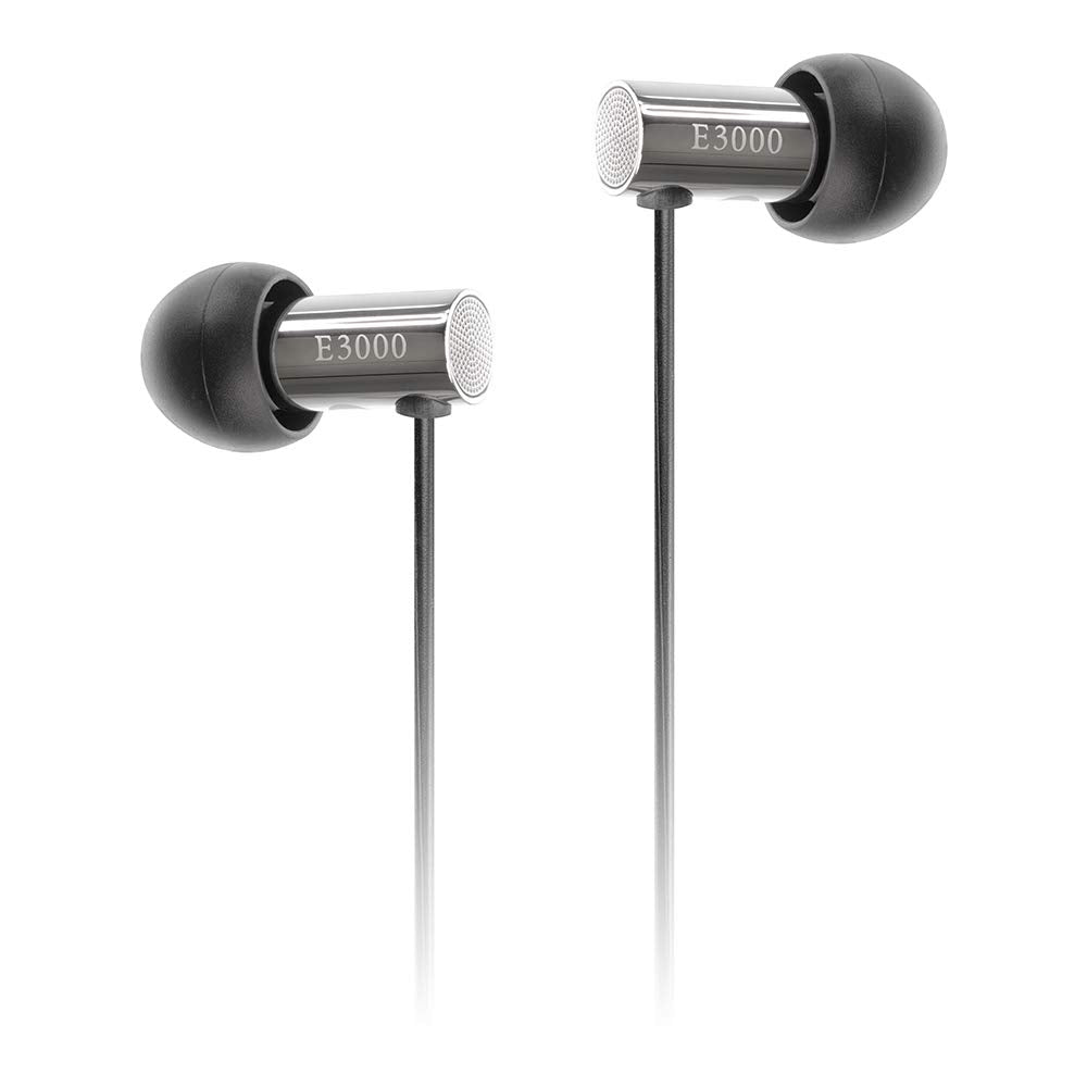 final Canal type earphone "E3000" FI-E3DSSã€Japan Domestic genuine products】