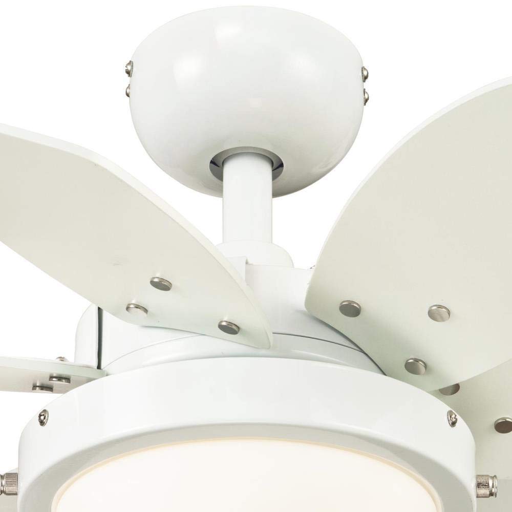 Ciata Small Ceiling Fan With Light, 24 Inch Quince Indoor Ceiling Fan in White Finish with Dimmable LED Light Fixture in Opal Frosted Glass