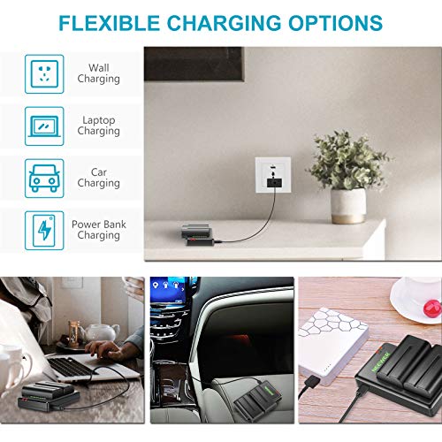 Neewer NP-F550 Battery Charger Set Compatible with Sony NP-F970 F750 F770 F960 F550 F530 F330 F570 CCD-SC55 TR516 TR716 TR818 TR910 TR917, Led