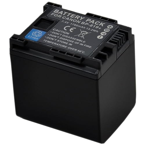 BTBAI Compatible bp-819 Battery for bp-809 bp-827 Digital Camera Video Camcorder (4X Battery+Charger USB Dual)