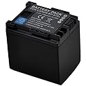 BTBAI Compatible bp-819 Battery for bp-809 bp-827 Digital Camera Video Camcorder (4X Battery)