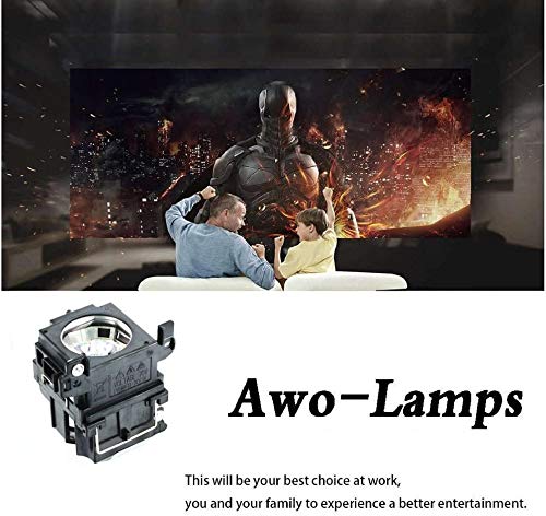 AWO DT00751 / 78-6969-9875-2 / RLC-017 Replacement Lamp Bulb with Housing for HITACHI