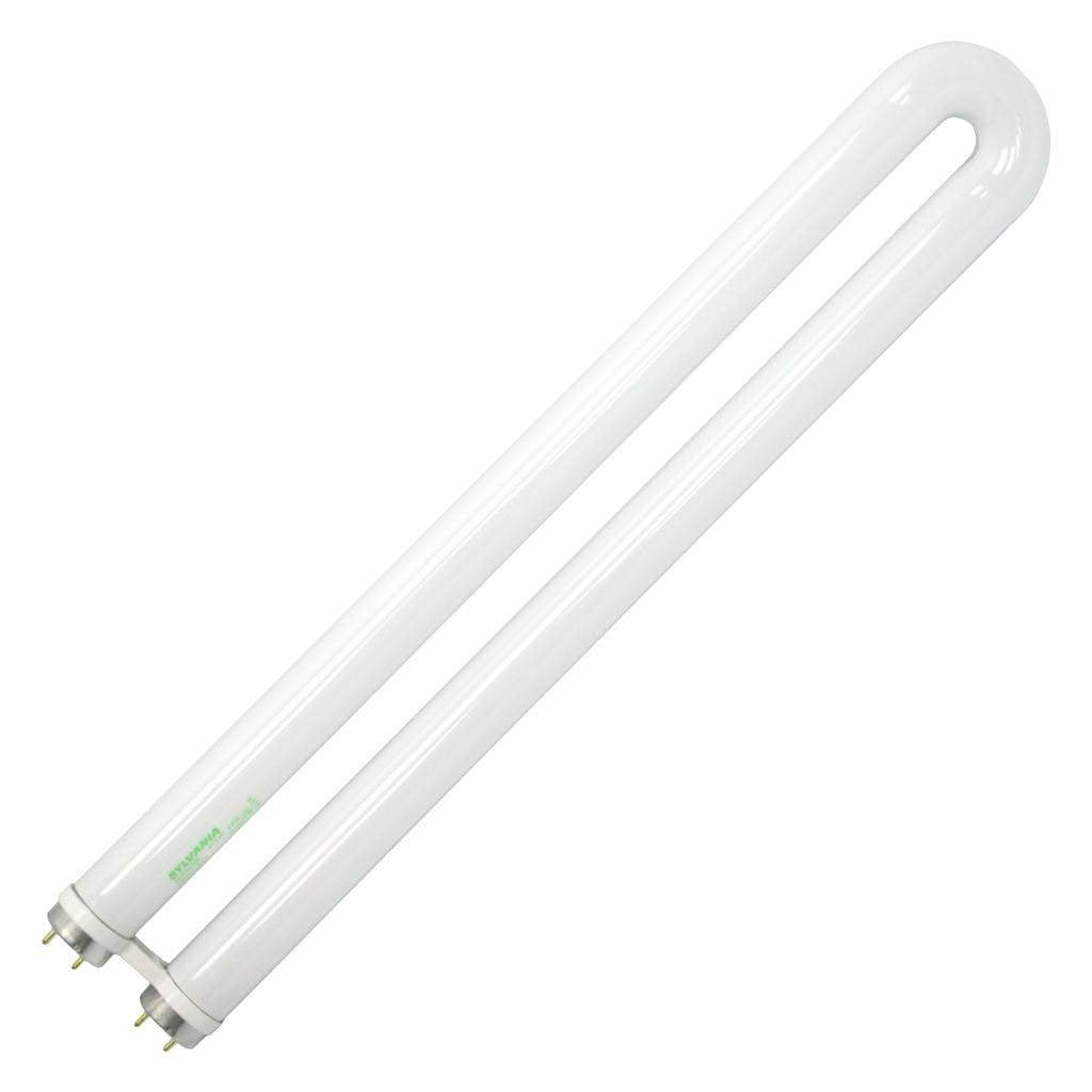 Sylvania 16 in. 24-Watt U-Bent T8 Fluorescent Tube Light Bulb, Cool White (1-Bulb)