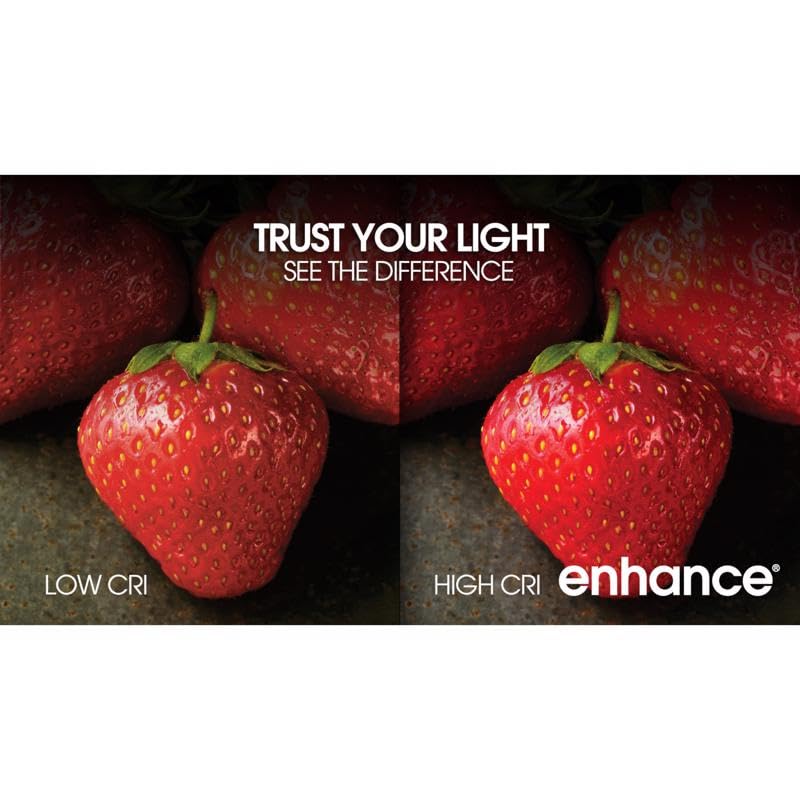 Feit A19 E26 (Medium) Filament LED Bulb Daylight 100 Watt Equivalence 2 pk