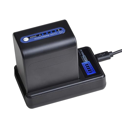 PowerTrust 1Pack 5400mAh NP-QM91D QM91D Battery and LCD USB Charger for Sony NP-QM71D NPQM91D NP-FM50 NP-QM71 NP-FM70 NP-FM90 CCD-TRV328 338