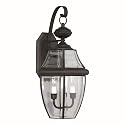 Forte Lighting 1301-02-04 Traditional 2-Light Exterior Wall Lantern, Black Finish with Clear Beveled Glass