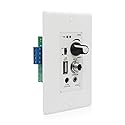 PNWCZ in Wall Audio Control Amplifier Receiver Compatible with Bluetooth 2 Channel Wall Plate with USB Microphone Aux (3.5mm) Input 120W for Sound