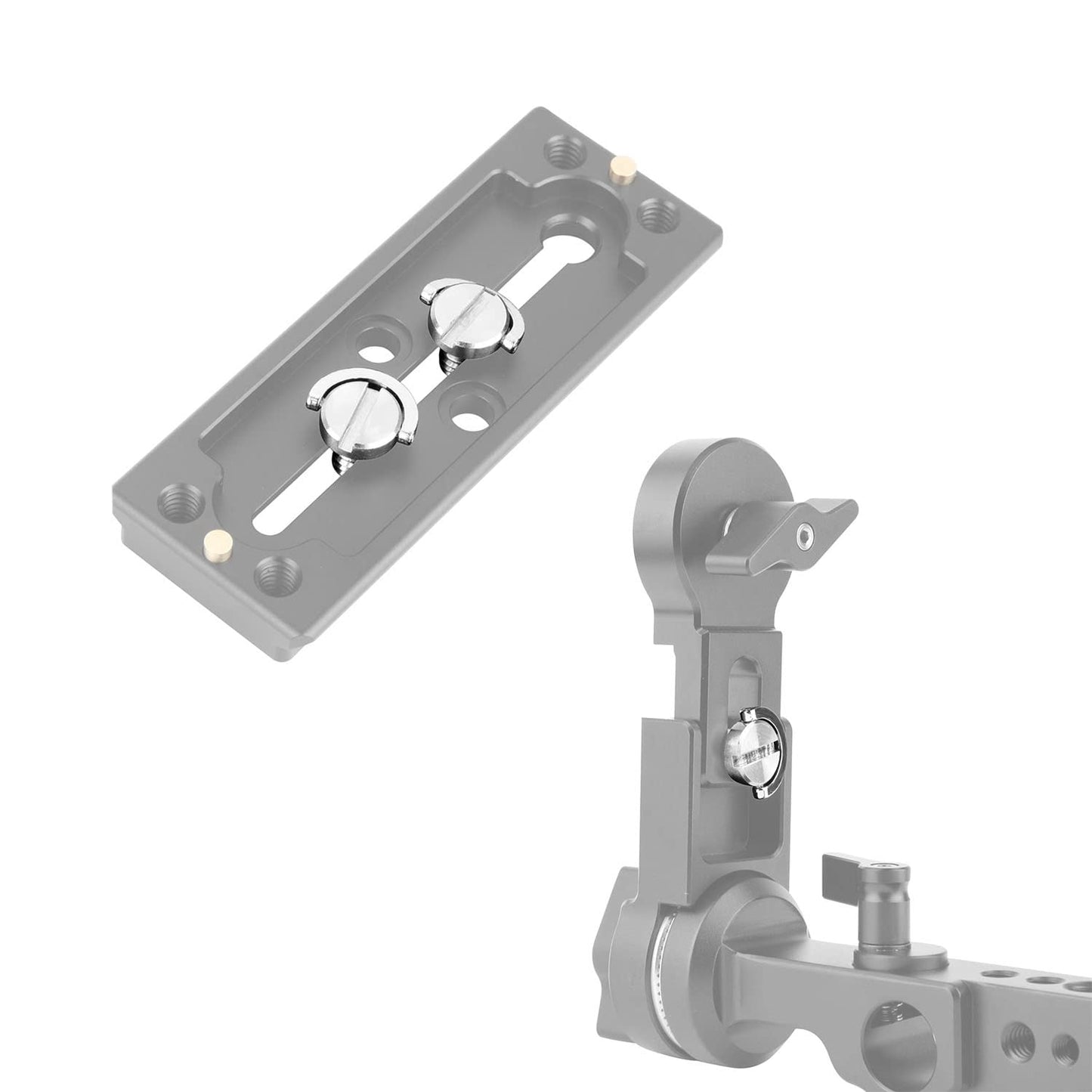 LUORNG 3PCS 1/4-20 Thread D-Ring Stainless Steel Camera Fixing Screws, D Shaft Quick Release Plate Mounting Screw for Camera Tripod Monopod QR Plate