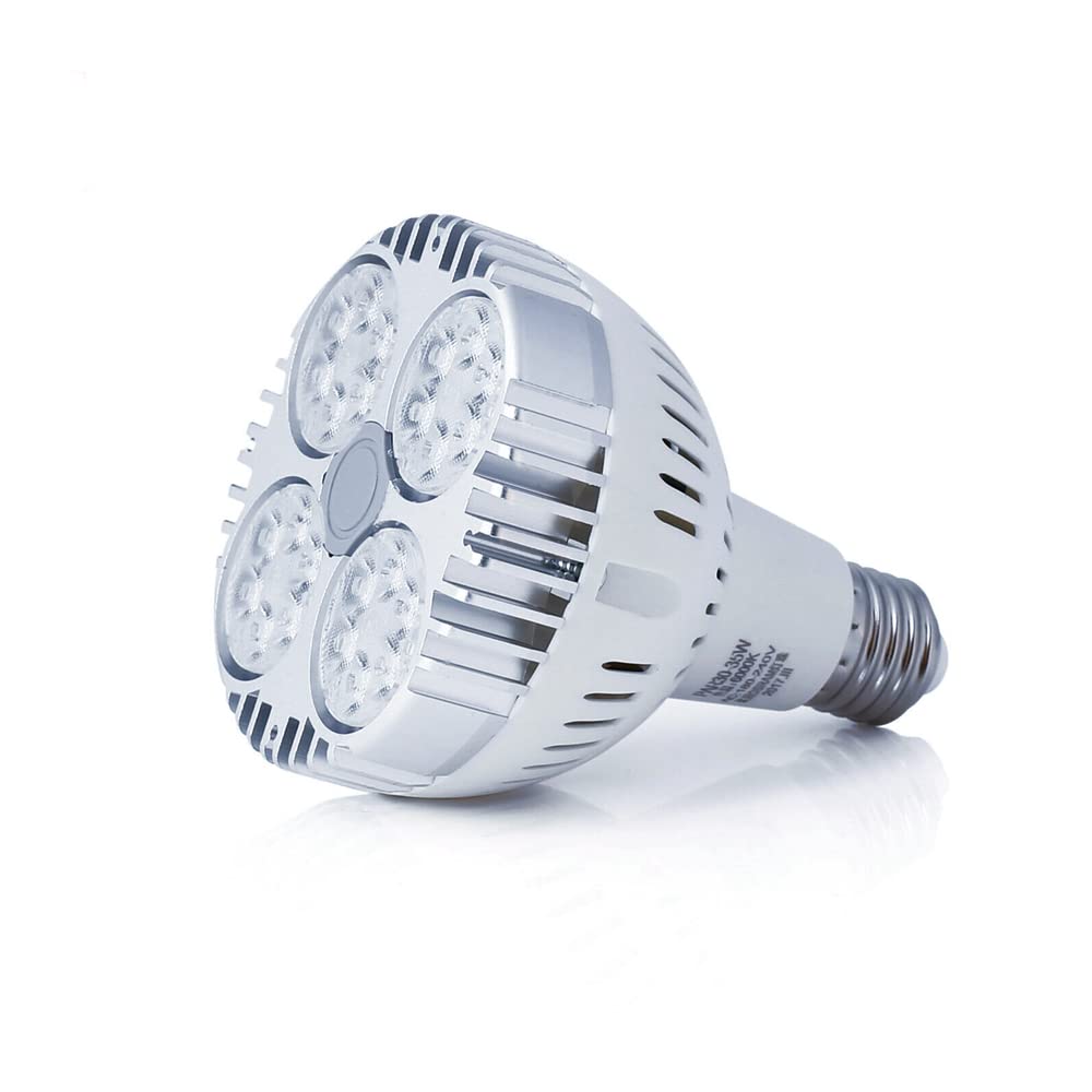 Par30 LED Bulb Indoor White Spotlight for Jewellery Clothing Store 6000K