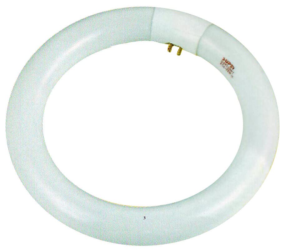 ELUCIDATE (2 Pack) Fluorescent Lamp Bulb | ?1" (?2.5 cm) Diameter Tube | ?8" (?20.3 cm) Circular Bright & Even Light Output | 4-Prong Secure