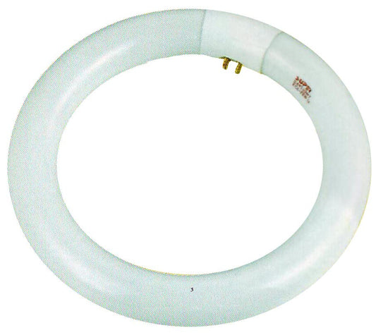 ELUCIDATE (2 Pack) Fluorescent Lamp Bulb | ?1" (?2.5 cm) Diameter Tube | ?8" (?20.3 cm) Circular Bright & Even Light Output | 4-Prong Secure