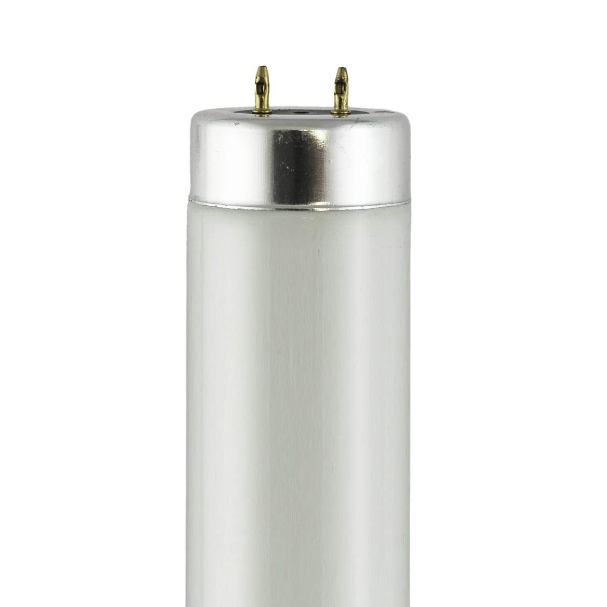 F20T12/350BL (24 in.) - Watts: 20W, Type: T12 Black Light (White)