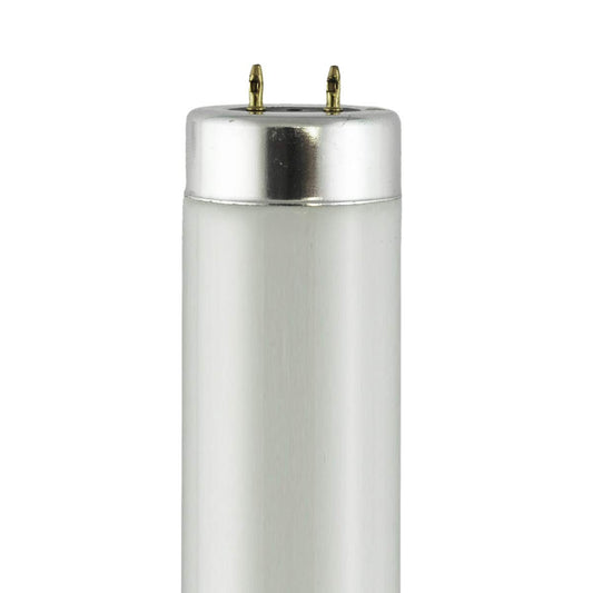 F20T12/350BL (24 in.) - Watts: 20W, Type: T12 Black Light (White)