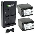 Wasabi Power Battery (2-Pack) and USB Dual Charger Compatible with Sony NP-FV100 and DCR-SR15, DCR-SX45, FDR-AX100, HDR-CX105, HC9, PJ30V, TD20V