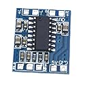 Reland Sun Mini digital power amplifier board USB 5V power supply two-channel stereo 3W PAM8403