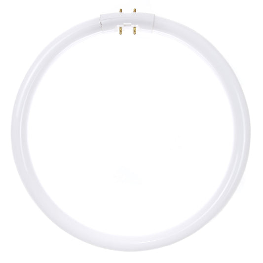 Sunlite FC22T5/SP841 Fluorescent 22W T5 Circline Ceiling Lights, 4100K Cool White Light, 2GX13 Base