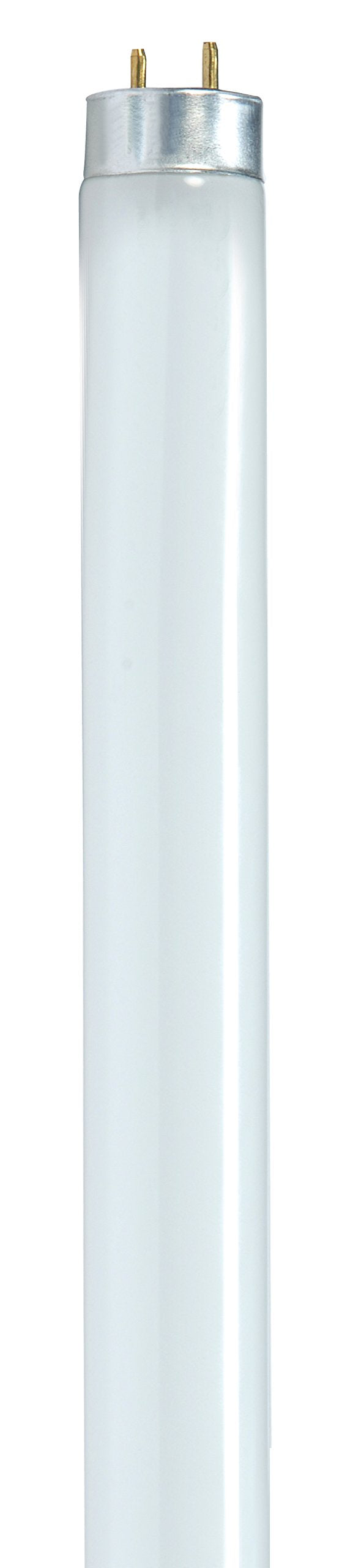 Satco S8433 24-Inch 6500K 17-Watt Medium Bi Pin T8 Instant/Rapid Start Energy Saving Lamp, Daylight