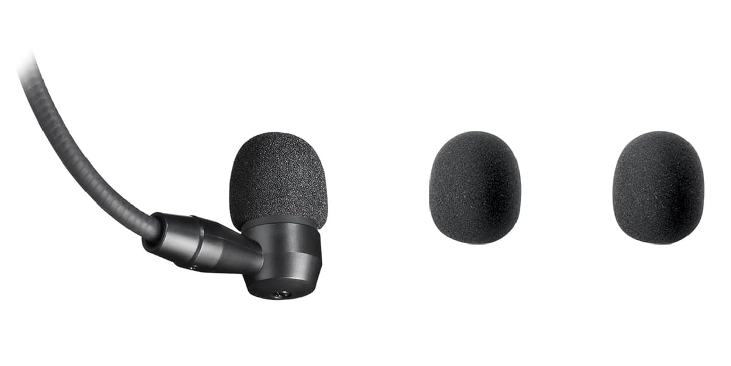 Audio-Technica BPHS1 Broadcast Stereo Headset - Black Bundle with Case, Stand, XLR Cable, and Austin Bazaar Polishing Cloth