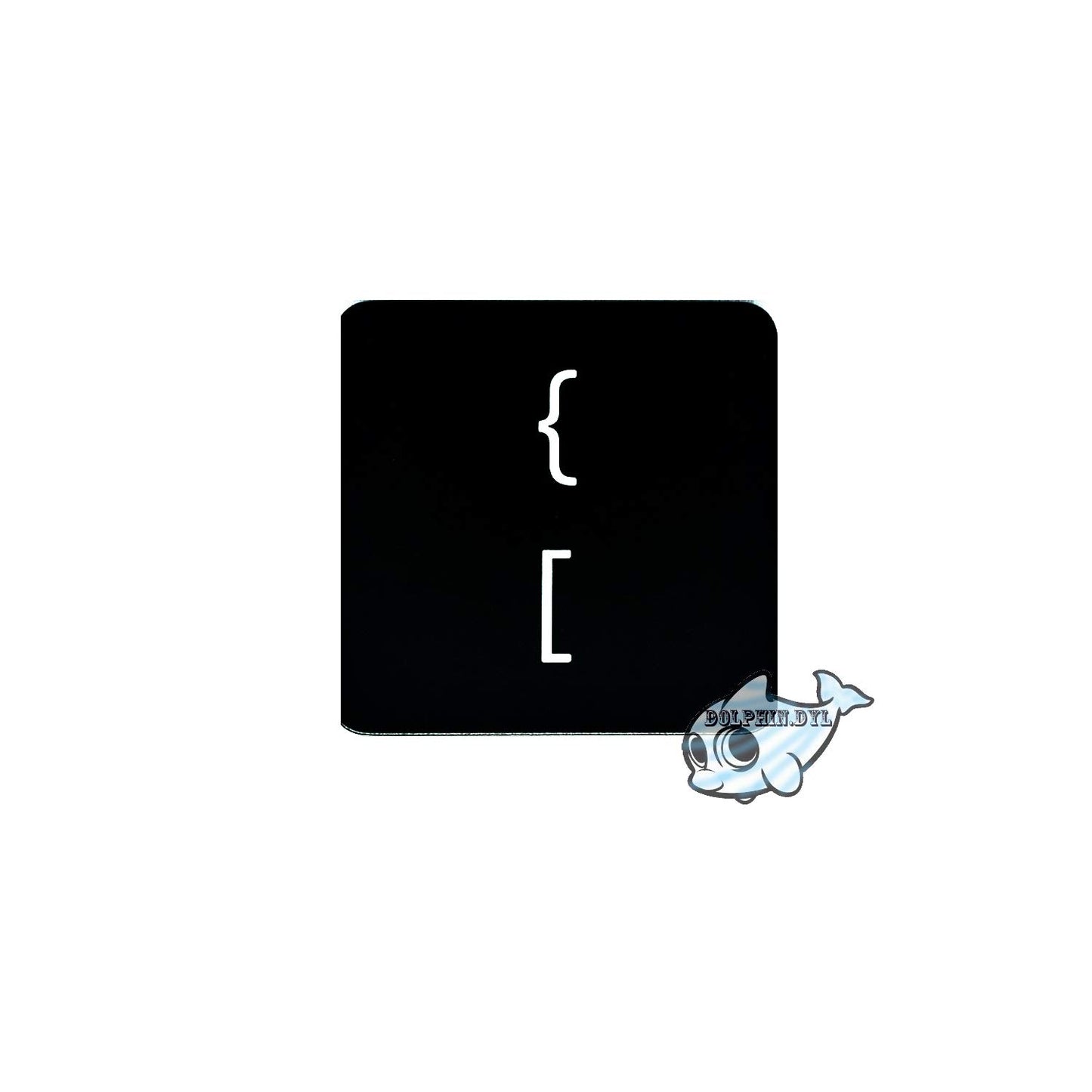 Dolphin.dyl(TM) Replacement Individual Key Cap for US MacBook Pro A1706 A1707 A1708 Key Keyboard(Key Cap Only) (Left Braces Brackets/Open Braces