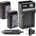 BM Premium 2 Pack of VW-VBD29 Batteries and Charger for Panasonic AG-3DA1 AG-AC8 AG-DVC30 AG-DVX200MC AG-HPX171 AG-HPX250 AG-HPX255 AG-HVX201