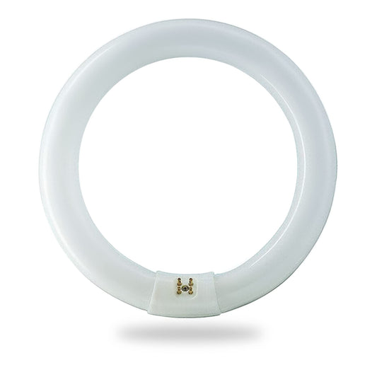BULBMASTER FC8T9/D 22 Watts 8 Inch Round T9 Fluorescent Circular Light Bulb, Daylight 6500K, FC8T9 980 Lumens G10Q 4-Pin Base 22W Circline Ceiling