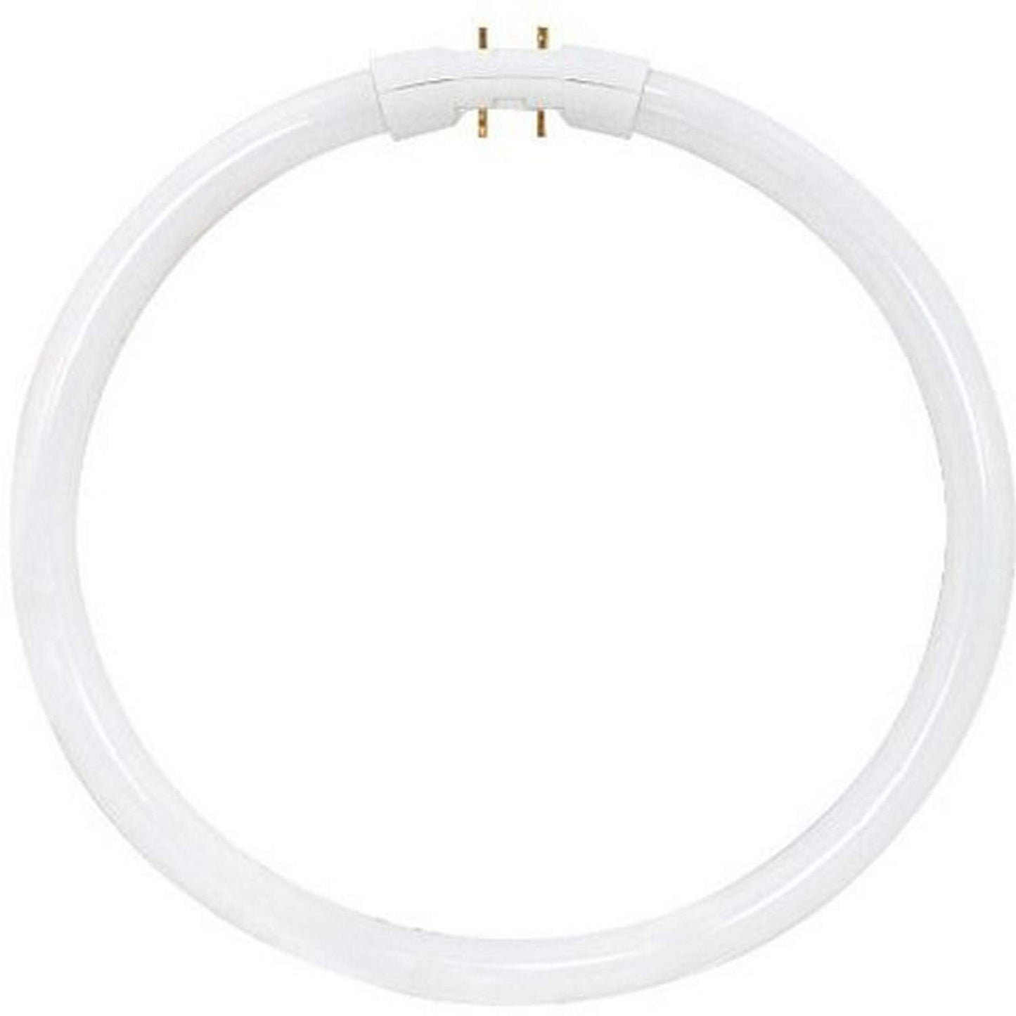 Satco S8157 4100K 22-Watt 2GX13 T5 Circline High Performance Lamp, Cool White