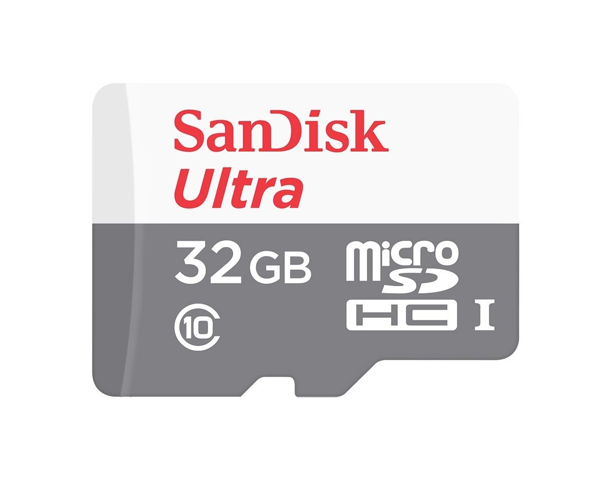 Sandisk 32GB Micro SDHC Ultra (10 Pack) MicroSD TF Flash Memory Card High Speed Class 10 (SDSQUNR-032G-GN3MN) Bundle with (1) Everything But Stromboli