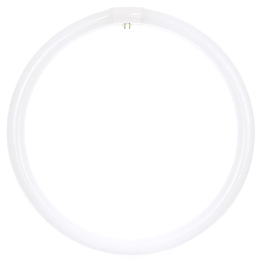 Sunlite 05021 - FC16T9/CW 05021-SU Circular T9 Fluorescent Tube Light Bulb