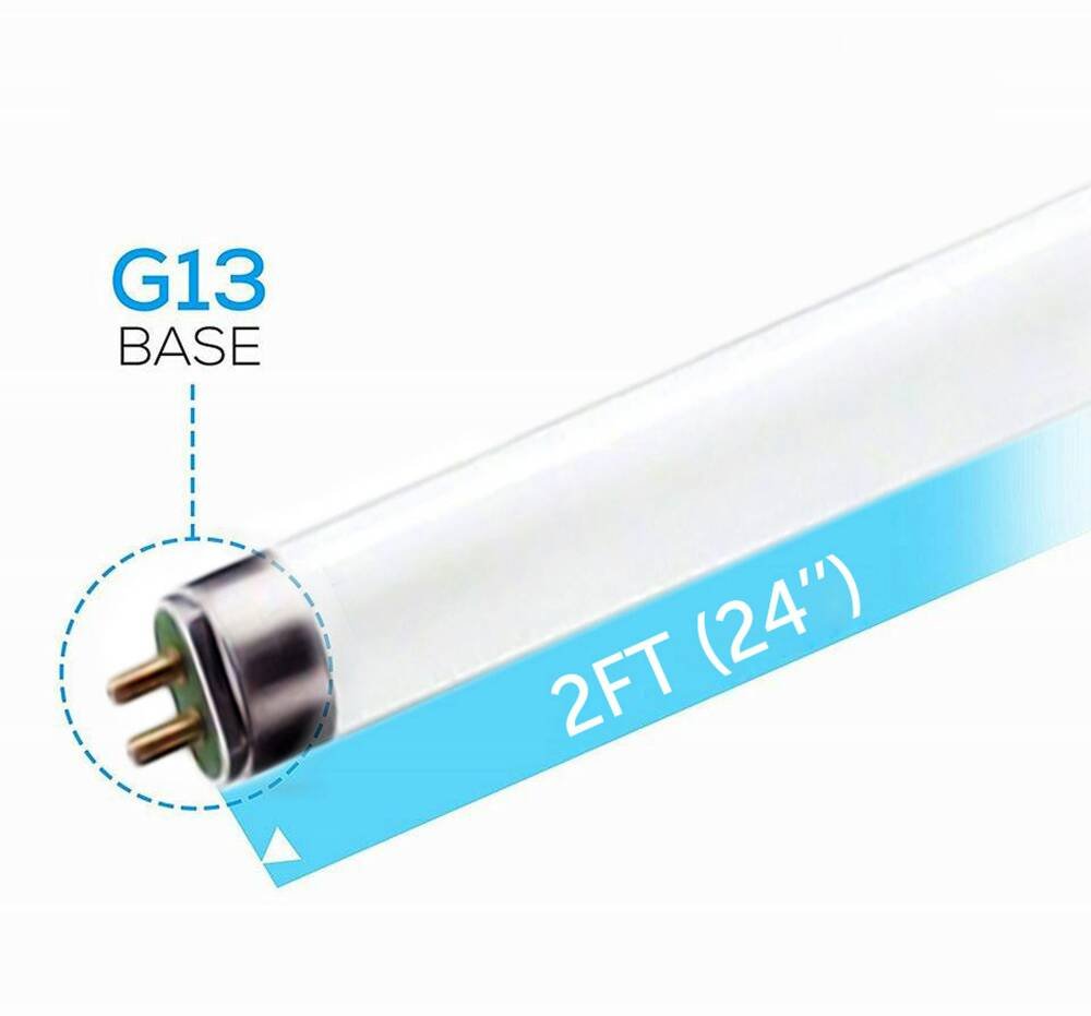 Circle (6 Pack F17T8/865 17W 24 Inch T8 Fluorescent Tube Light Bulb, 6500K Daylight White, Medium Bi-Pin (G13) Base, 17 Watt T8 Light Bulbs