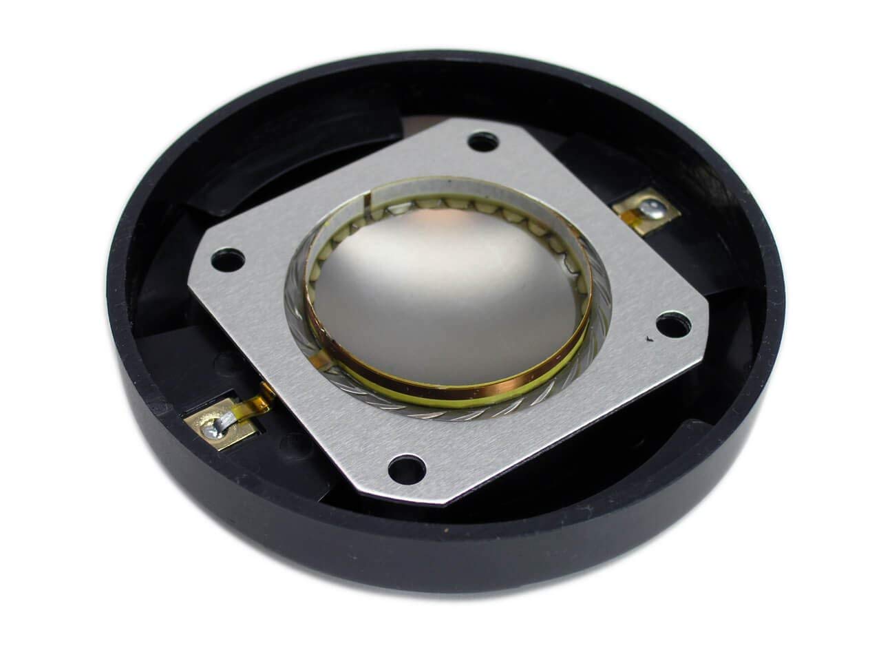 TSE Audio Diaphragm for EV DH1K, DH1M, Used in Many ELX, ZLX and EKX Live-X Systems