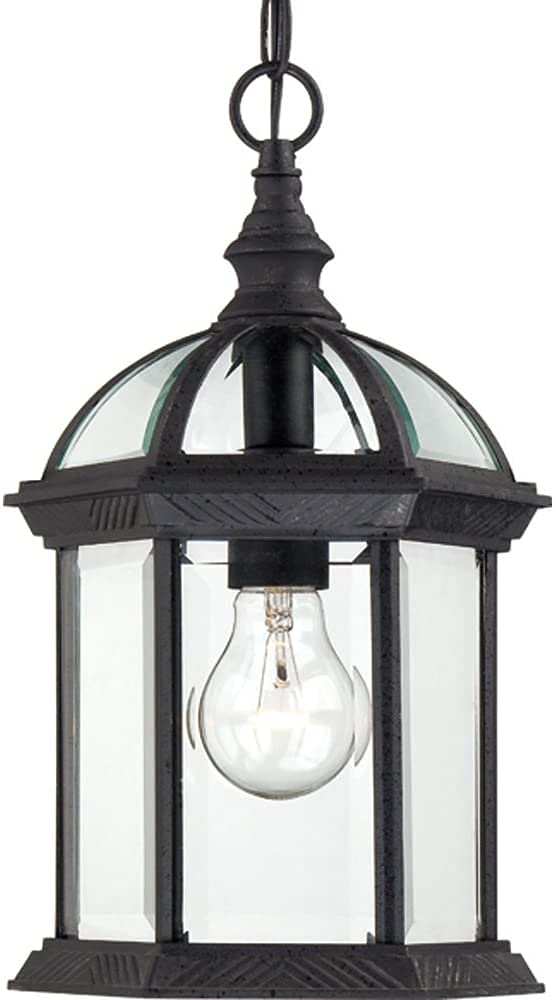 Nuvo Lighting 60/4979 Traditional One Light Hanging Lantern from Boxwood collection in Black finish
