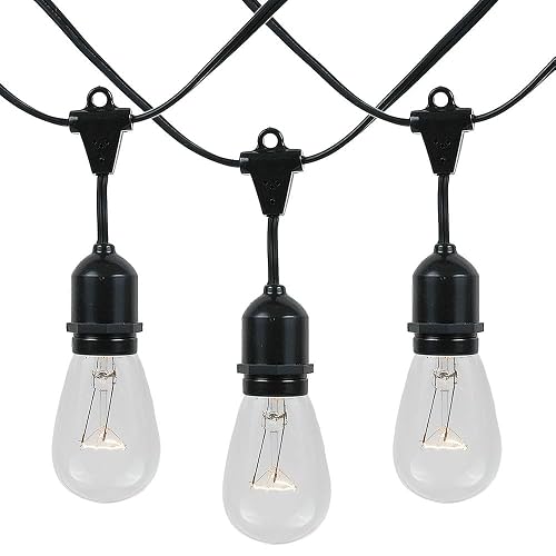 Novelty Lights 37.5 Feet, 25 Suspended E26 Sockets, S14 String Light Set with Clear Incandescent Bulbs, Heavy Duty Black Wire Patio Lights, Weather