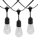 Novelty Lights 37.5 Feet, 25 Suspended E26 Sockets, S14 String Light Set with Clear Incandescent Bulbs, Heavy Duty Black Wire Patio Lights, Weather