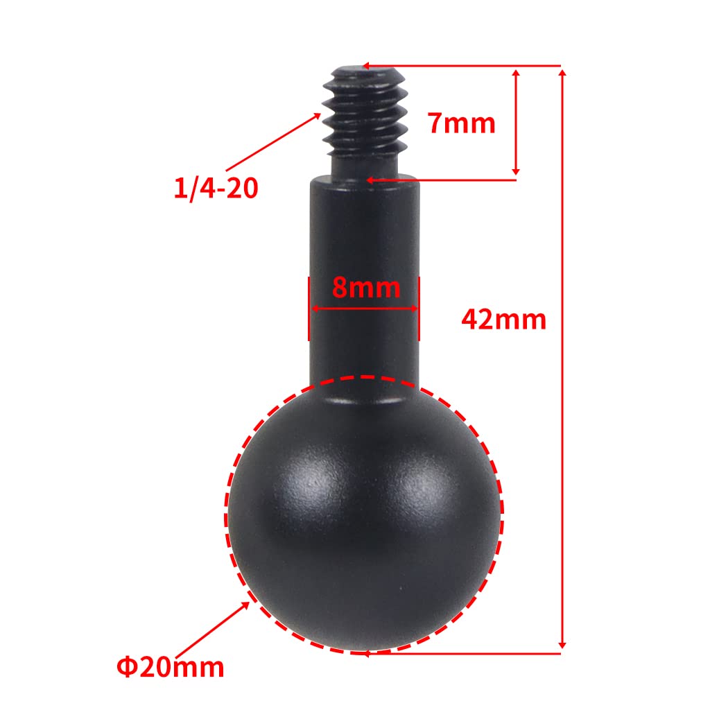 FEICHAO 20mm Ball Head to 1/4 Screw Adapter Mount for Camera Photography Conversion Accessory (43mm)