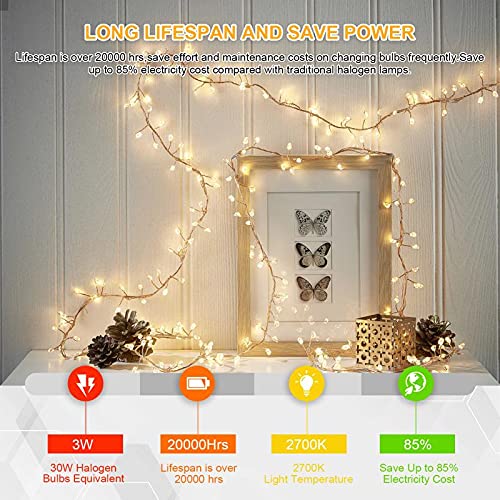 Letaclanic G4 SMD LED Light Bulbs, 3000K Warm White Lighting Dimmable, 3W Equivalent to 30W AC DC 12V-24V, Bi-pin LED Bulb Silicone G4 LED Bulbs (10