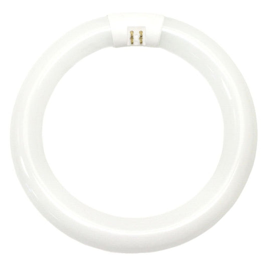 WESTINGHOUSE LIGHTING 601000 22W CW Fluo Ring Bulb