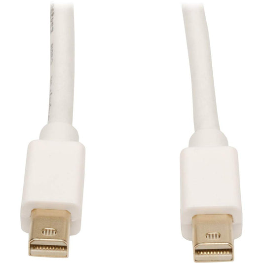 Tripp Lite Mini DisplayPort Cable 4K x 2K @ 30Hz, 3840 x 2160 including 1080p, (M/M) 6-ft (P584-010)