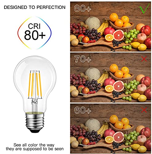DC 24V Low Voltage LED Edison Bulb A19 6W 2700K Warm White 600LM E26 60Watt Equivalent LED Filament Bulb for RV Camper Marine Boat Solar Panel Project