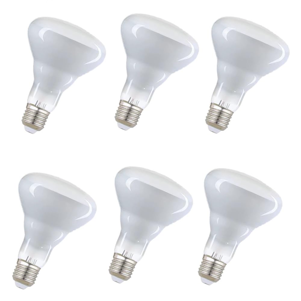 MOAKRIN BR30 Flood Incandescent Light Bulbs 65W, 2700K Soft White, 6-Pack